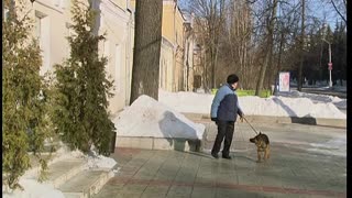 Кадетство. Сезон 2. Серия 61