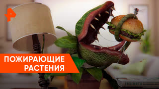 «Загадки человечества»: растения-людоеды