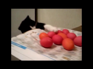 Пасхальный кот